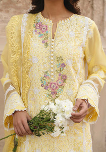 MEHR AFROZ