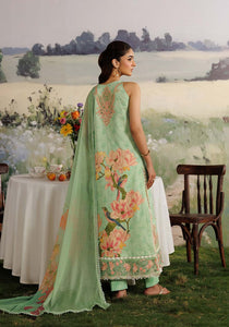 MEHRAAB-E-GUL ZQ002