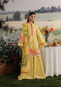 MEHRAAB-E-GUL ZQ001